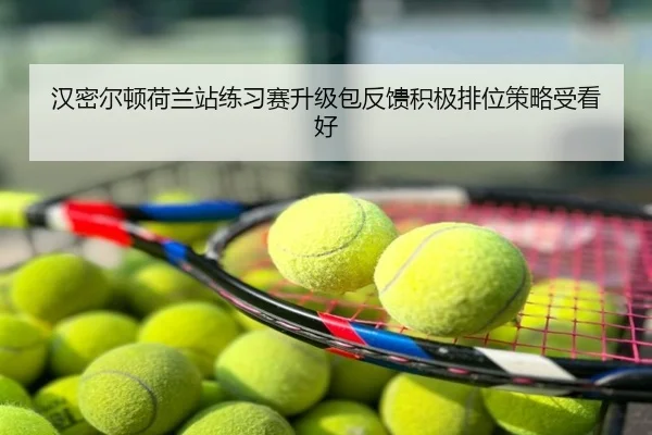 汉密尔顿荷兰站练习赛升级包反馈积极排位策略受看好