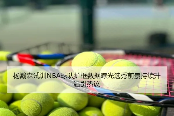 杨瀚森试训NBA球队护框数据曝光选秀前景持续升温引热议